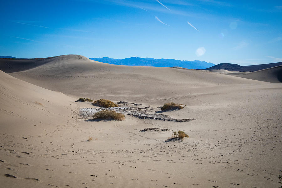 Mesquite Flat Sand Dunes #7 Photograph by Jonathan Babon