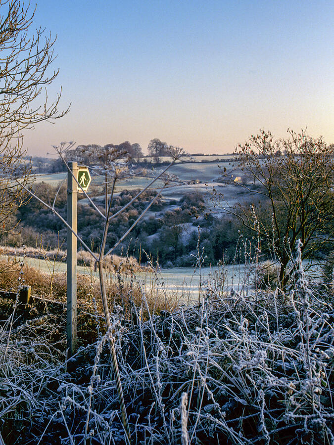 Frosty Countryside Walk Photograph - Scenic Cotswolds - Winter #7 by Seeables Visual Arts