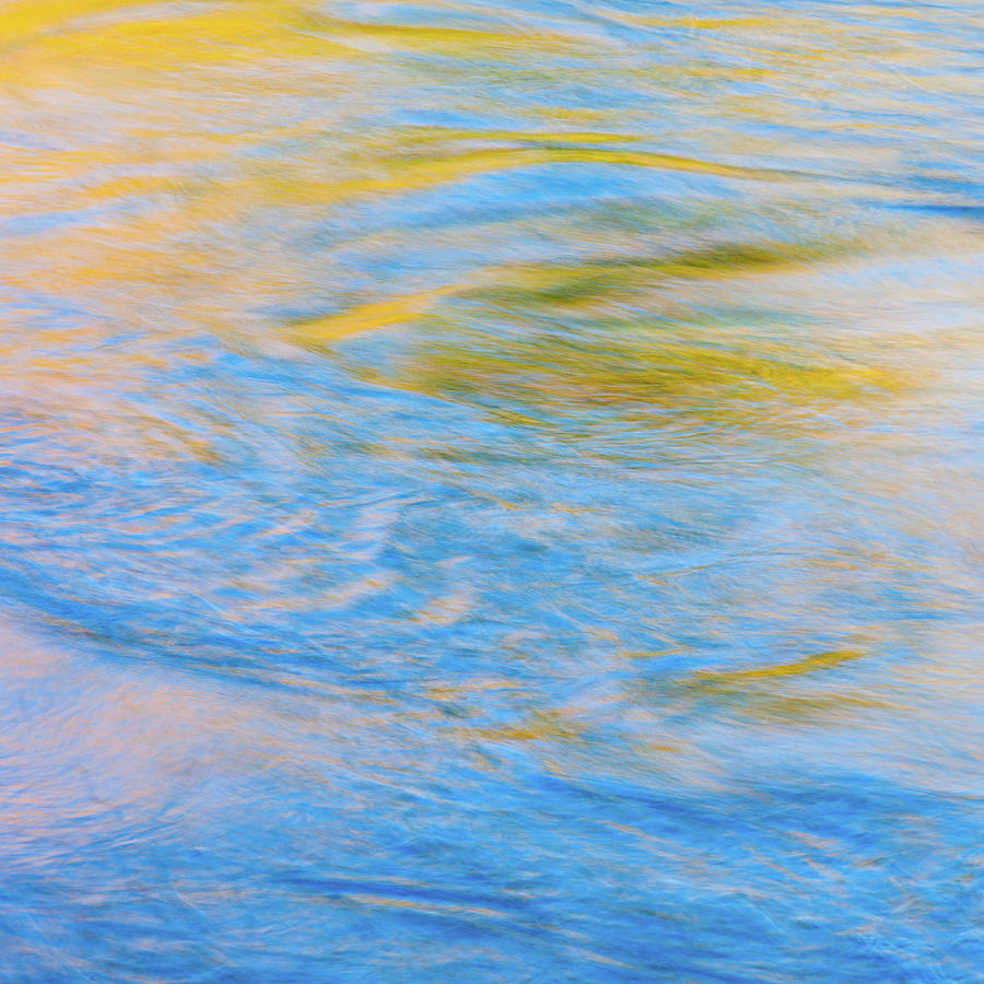 Watercolour #7 Photograph by Shankar Adiseshan