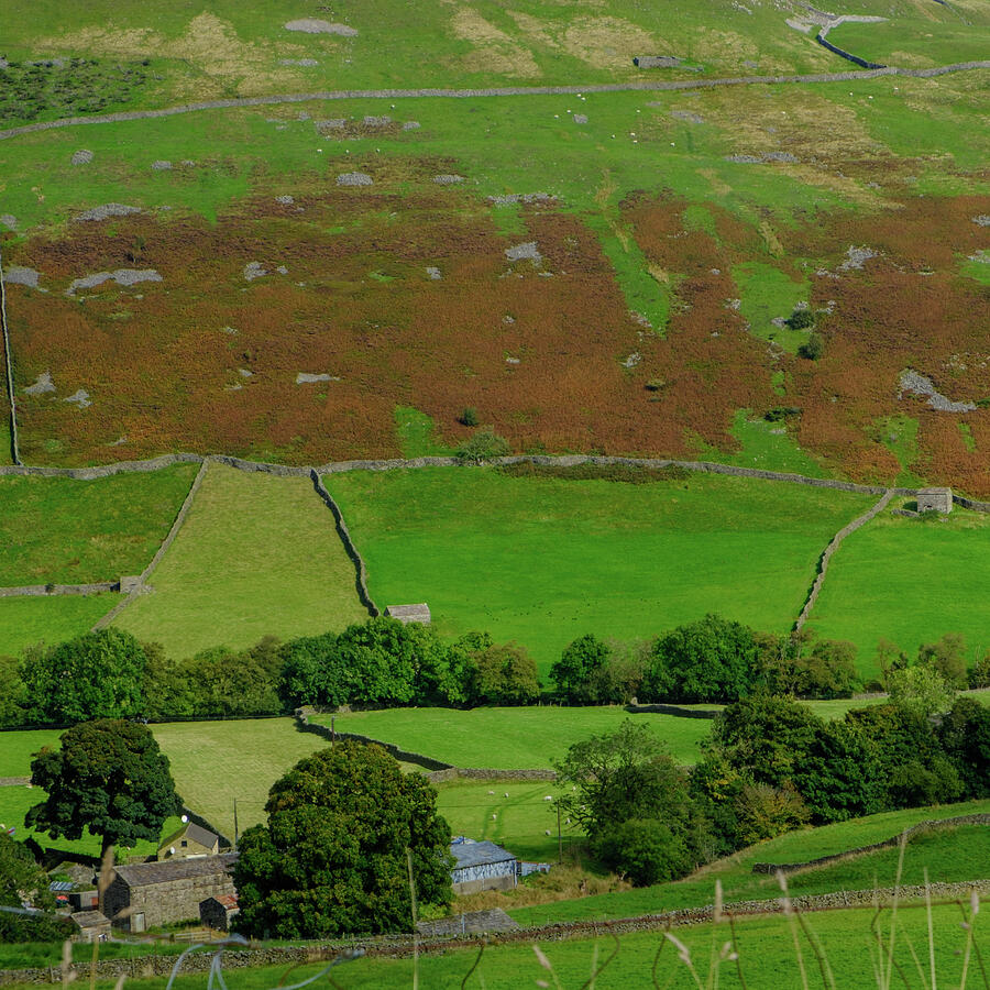 Pastoral English Countryside Landscape Photograph - Swaledale #8 by Seeables Visual Arts