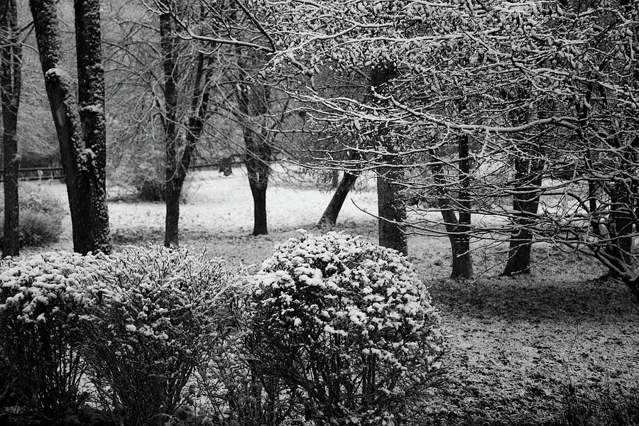 Winter wonderland #91 Photograph by Robert Grac