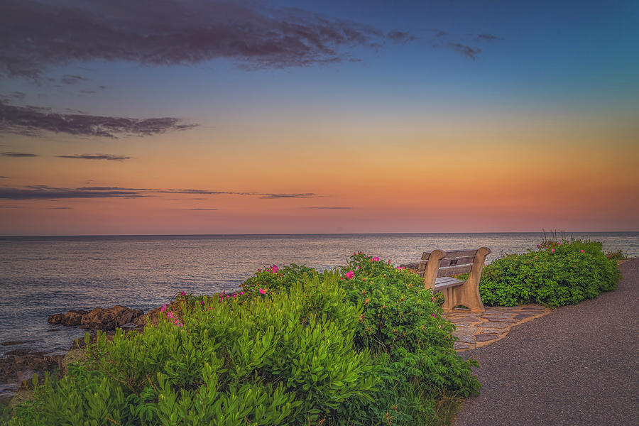 A Bench with a View Photograph by Penny Polakoff