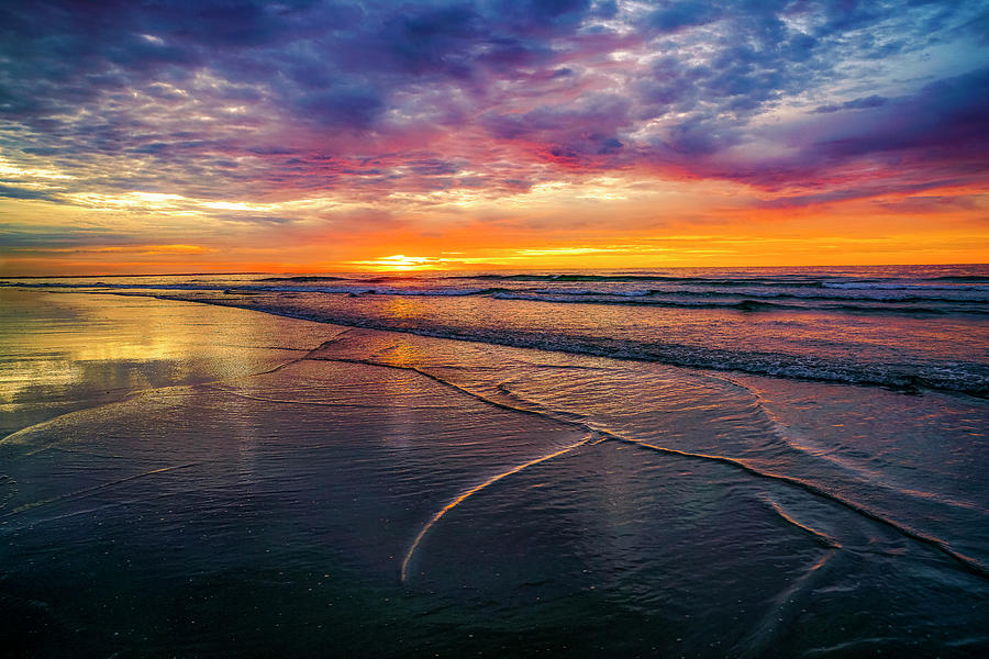 A Burst of Color Photograph by Penny Polakoff