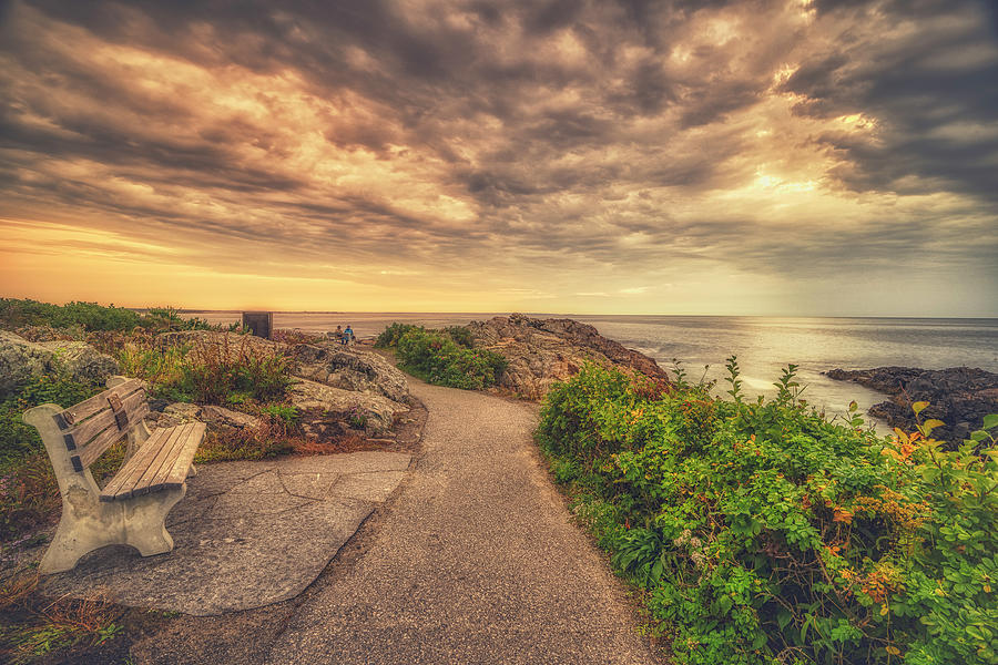A Cherished View Photograph by Penny Polakoff