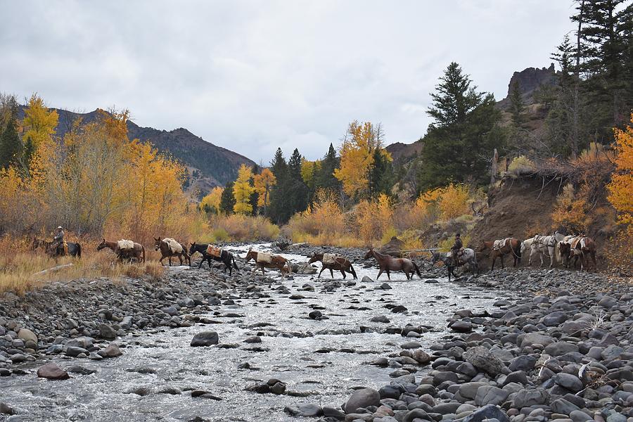 A Fine Autumn Day Photograph by Alden Ballard
