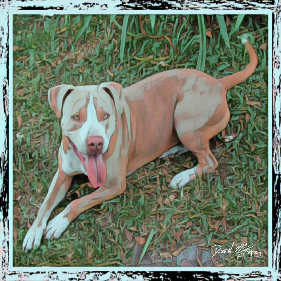 A Good Dog Digital Art by David McKinney