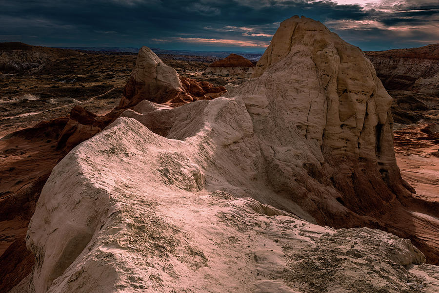 A path to nowhere Photograph by Matt Halvorson
