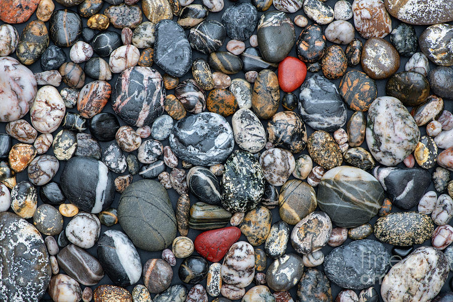 Photo For Rpebbles A Pattern of Pebbles Photograph by Tim Gainey - Metal Posters