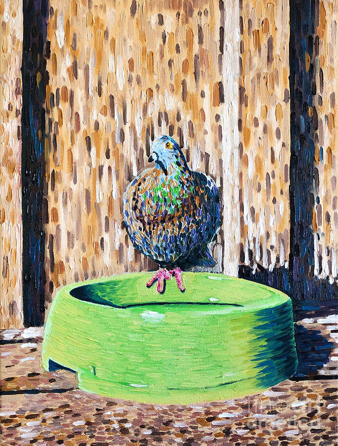 A Pigeon Standing on a Dogs Water Bowl Oil Painting Painting by Michel Cruz-Garcia
