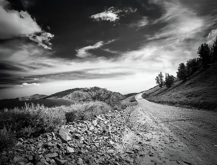A Sense of the West in Black and White Photograph by Joe Schofield