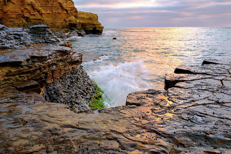 A Splash Of White Photograph by Jeff Sinon