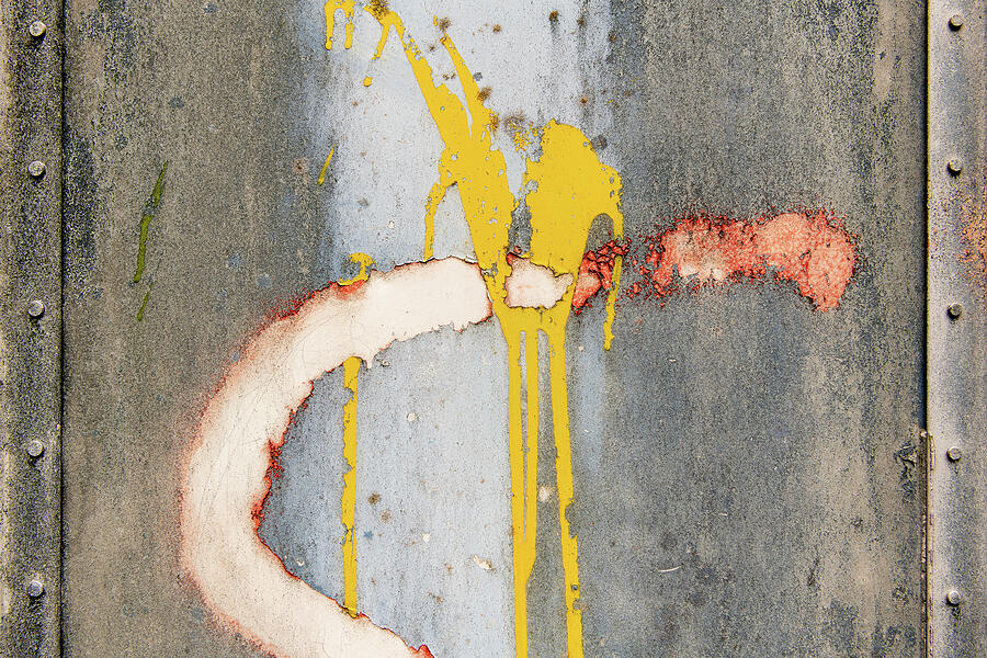 A Spot of Green Photograph by Chad Thunberg