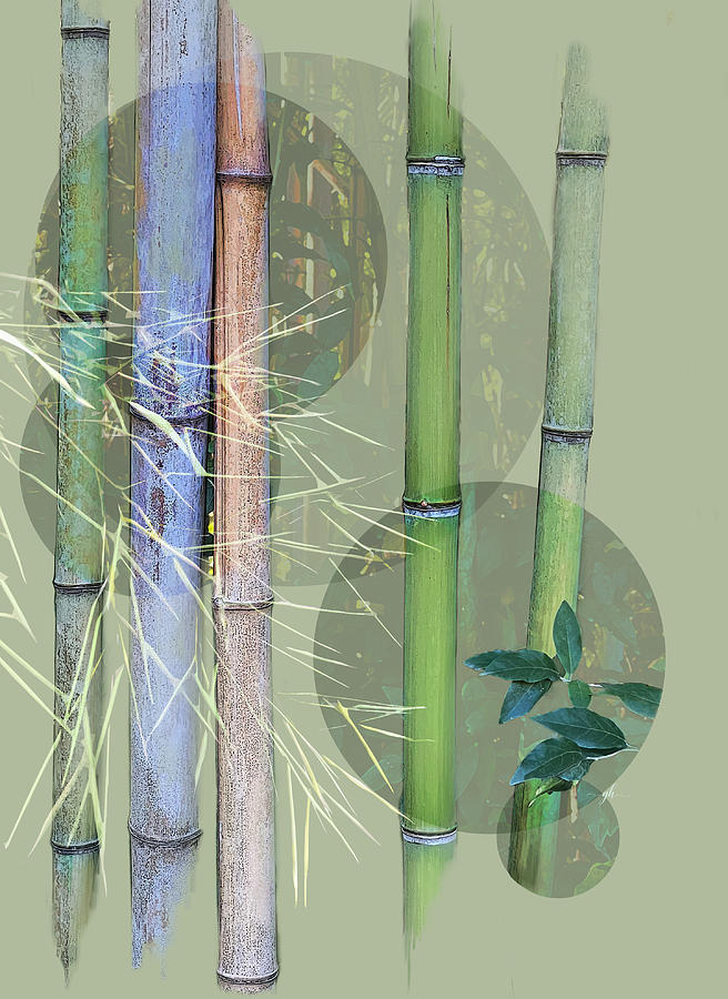 A Touch of the East Digital Art by Gina Harrison