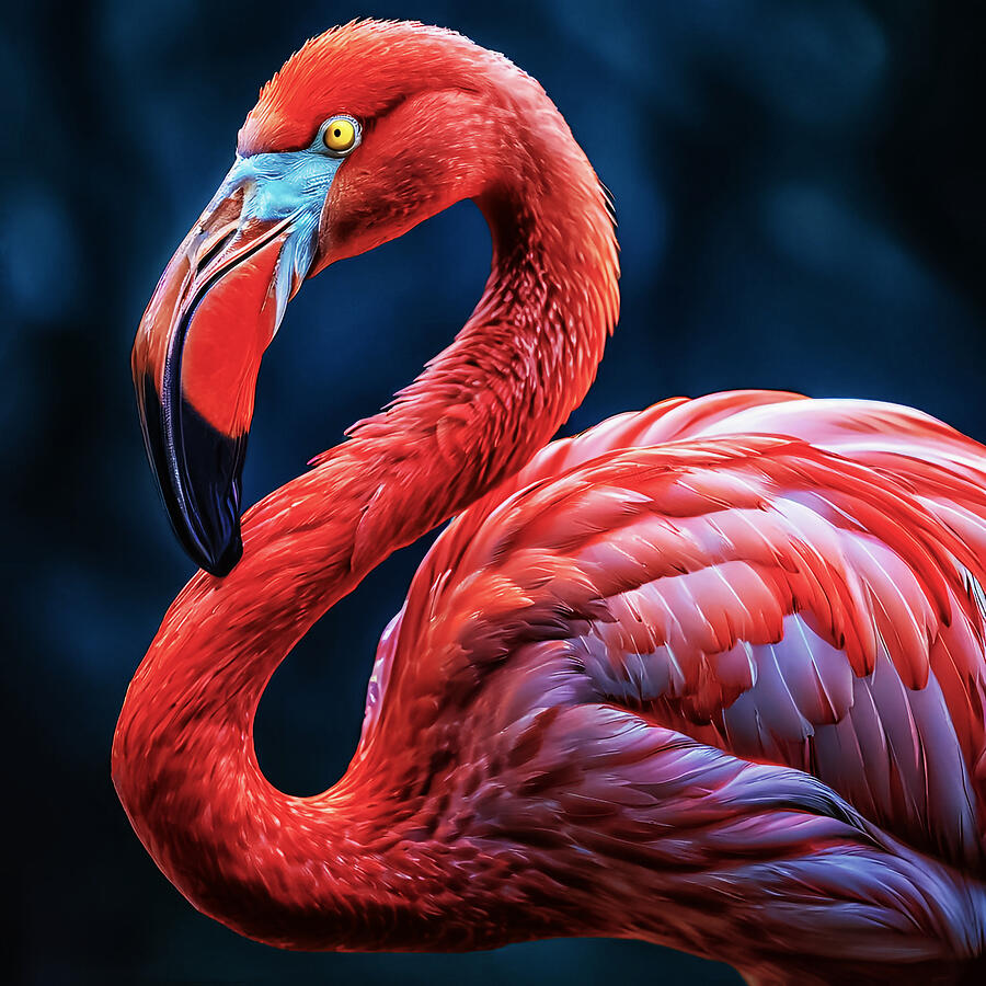 A vibrant red flamingo Digital Art by The Luxury Art Collection