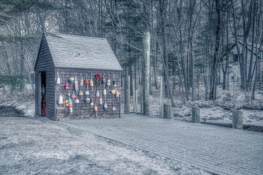 A Winter Morning on Paddy Creek Road Photograph by Penny Polakoff