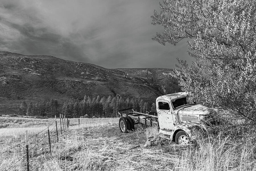 Abandoned Truck in a Field Photograph - Abandoned Truck in a Field by Michael DeGrenier