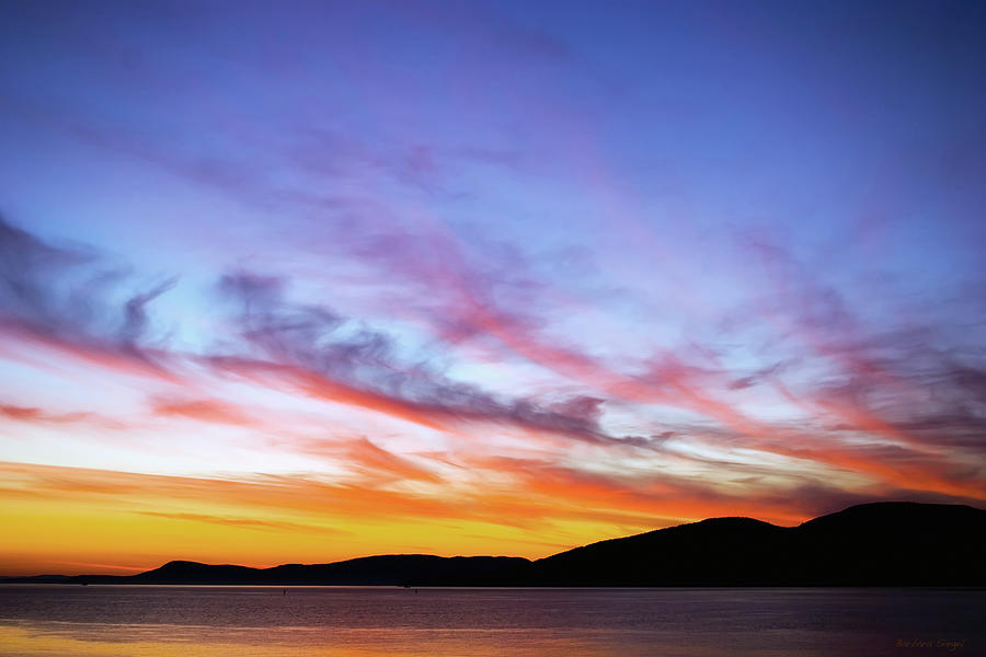 Ablaze of Colors Photograph by Barbara Siegel