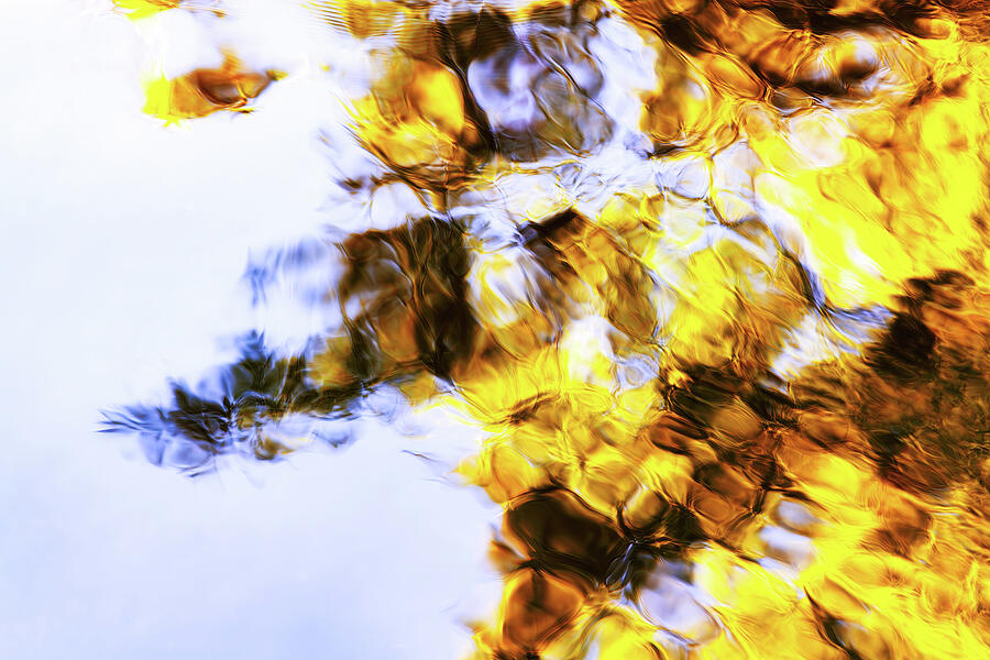 Reflections of Autumn Leaves Photograph - Abstract Autumn Reflections in Water by Tatiana Travelways