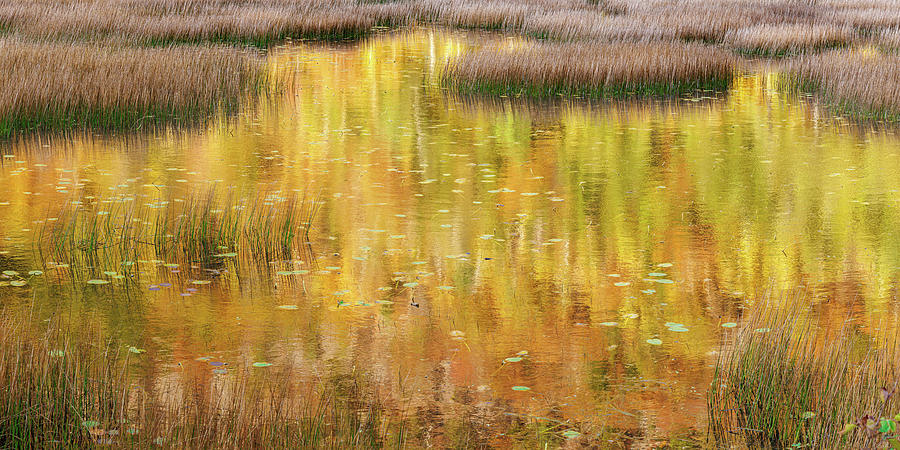 Impressionist Autumn Photograph by Richard DeYoung