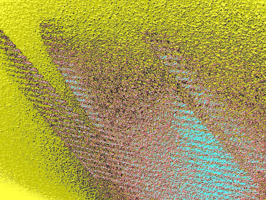 Abstract Expressionaryish 37 Digital Art by T Oliver