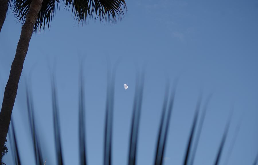 After the sunset comes the moon 1 Photograph by Murray Croft