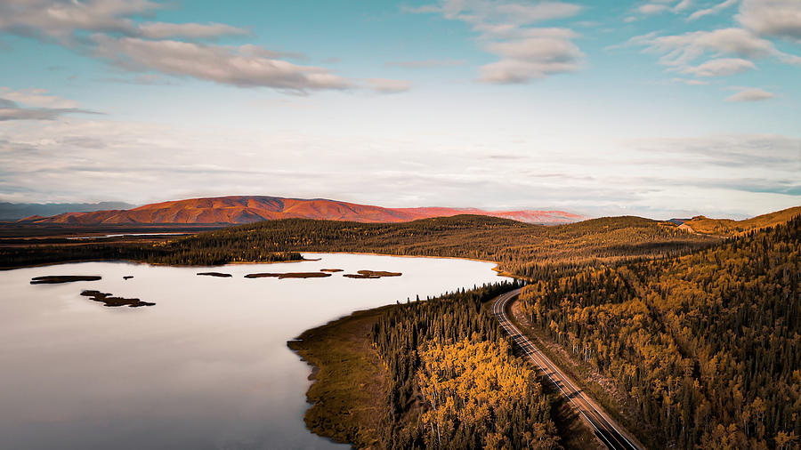Alaska Highway, Autumn Beauty Photograph by Shannon Williams