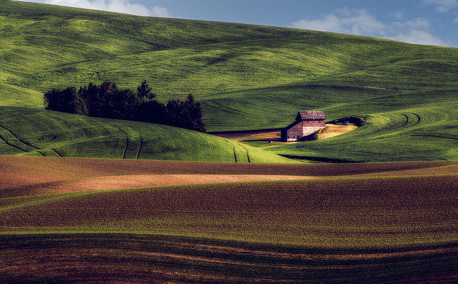 Rolling Hills and Rustic Barn Photograph - Among the Emerald Fields by Kevin Schwalbe