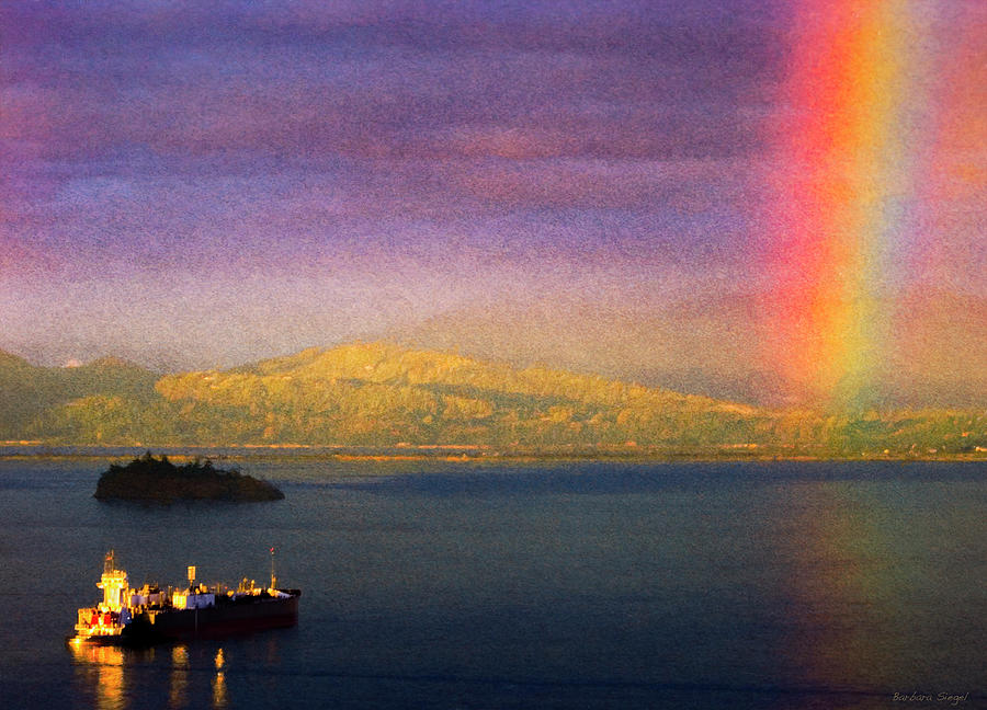 Anacortes Rainbow 2 Photograph by Barbara Siegel