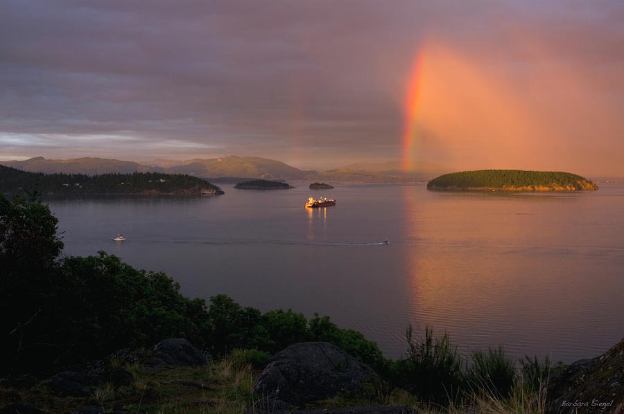 Anacortes Rainbow Photograph by Barbara Siegel