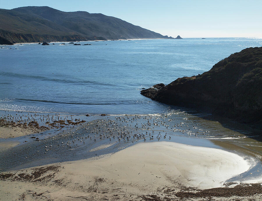 Andrew Molera Beach Photograph by Joe Schofield
