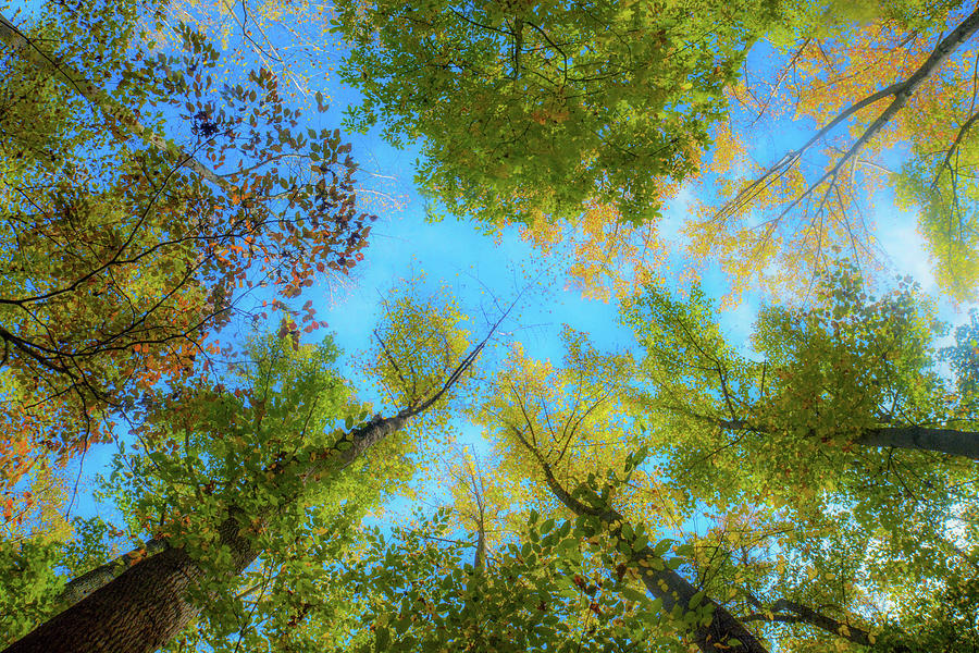 Arial Photograph by Addison Likins