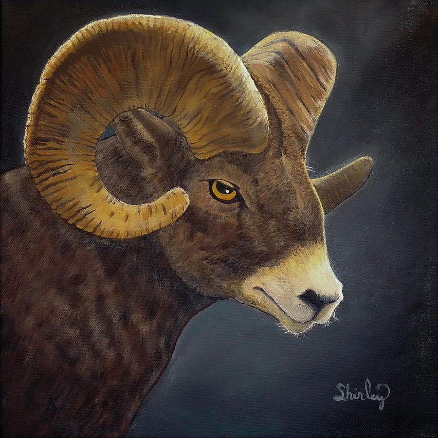 Aries Ram Painting by Shirley Dutchkowski