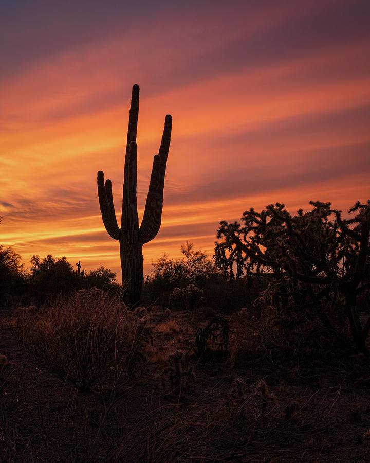 Arizona Sunrise Photograph by Chris Allmendinger