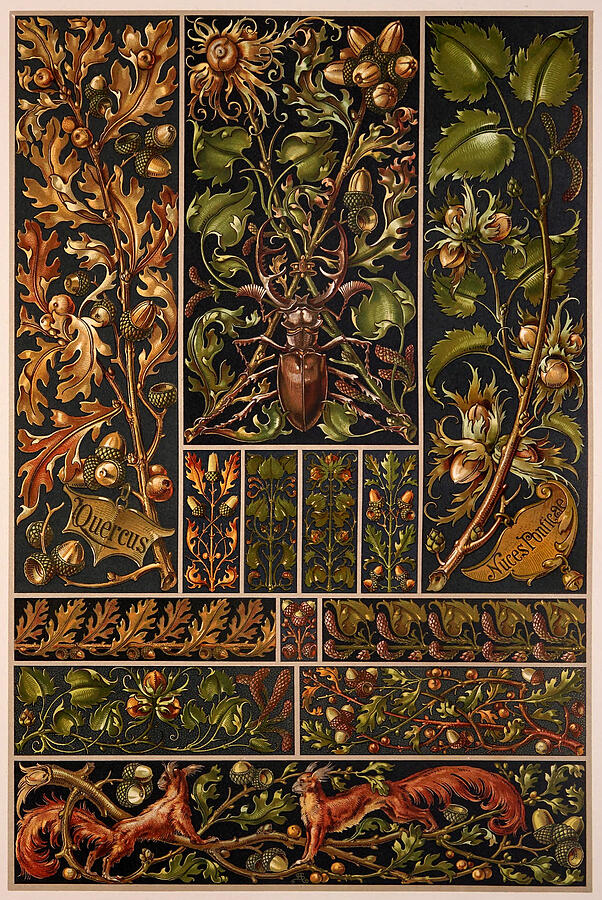 Art nouveau motifs and design elements by Anton Seder - Oak,acorn