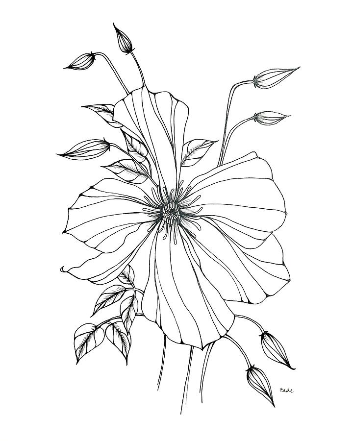 Artifice Drawing by Catherine Bede