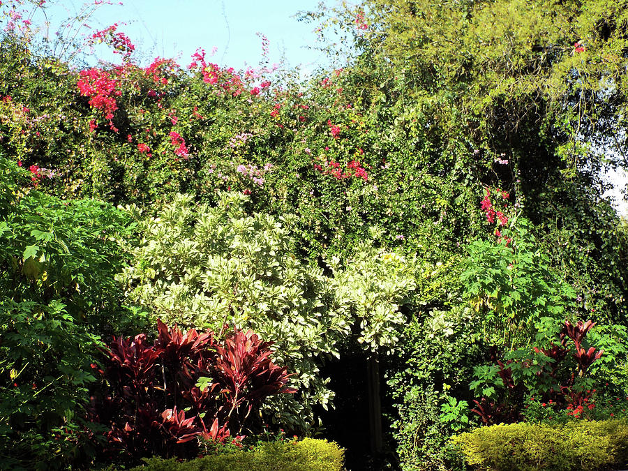 Beauty at the cave Photograph by Doreen Rosselli