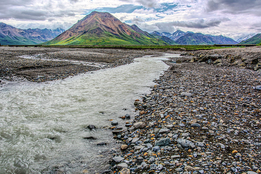 At the Foot of Denali Photograph by Douglas Wielfaert
