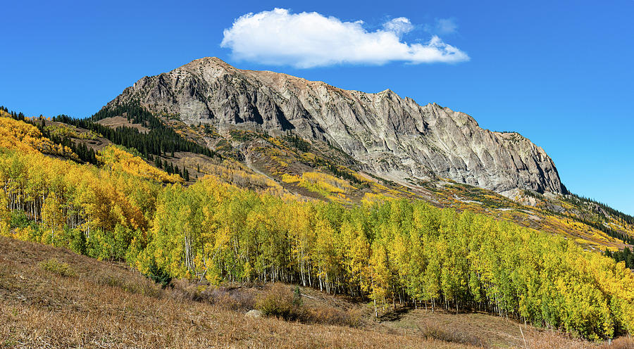 Autumn at Gothic Mountain Photograph by Ron Long Ltd Photography
