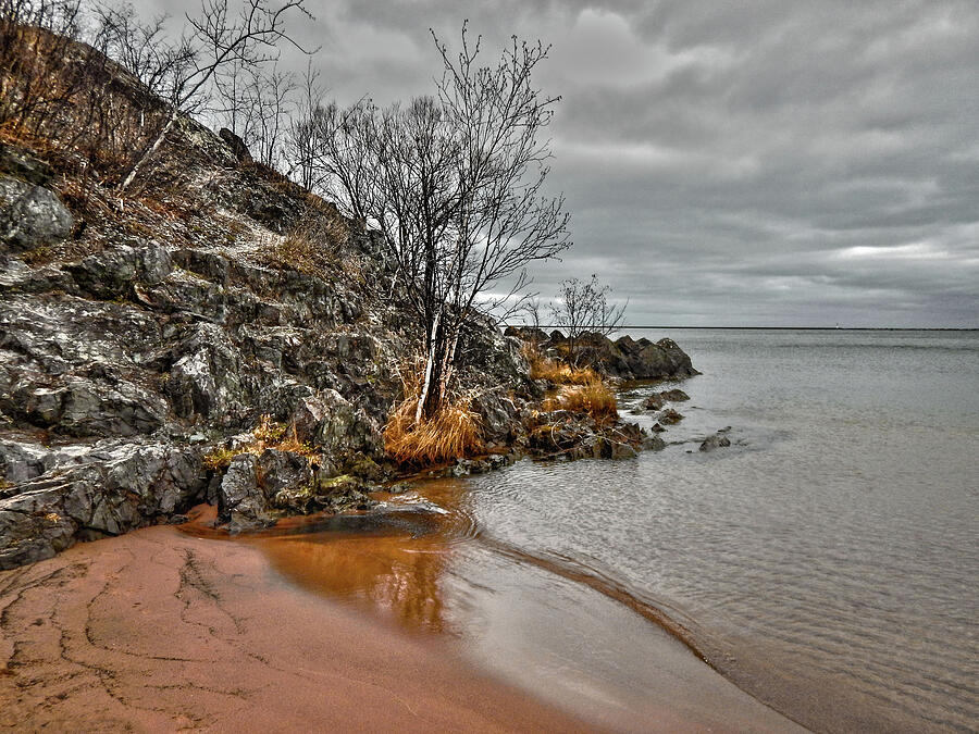 Autumn at Marquette Bay Photograph by Vi Ray