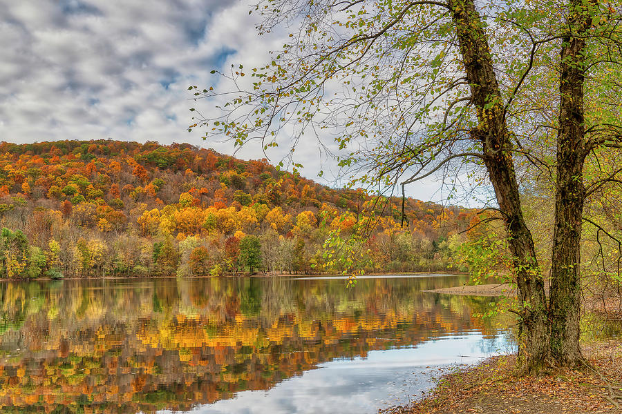Autumn at Ramapo Photograph by Penny Polakoff