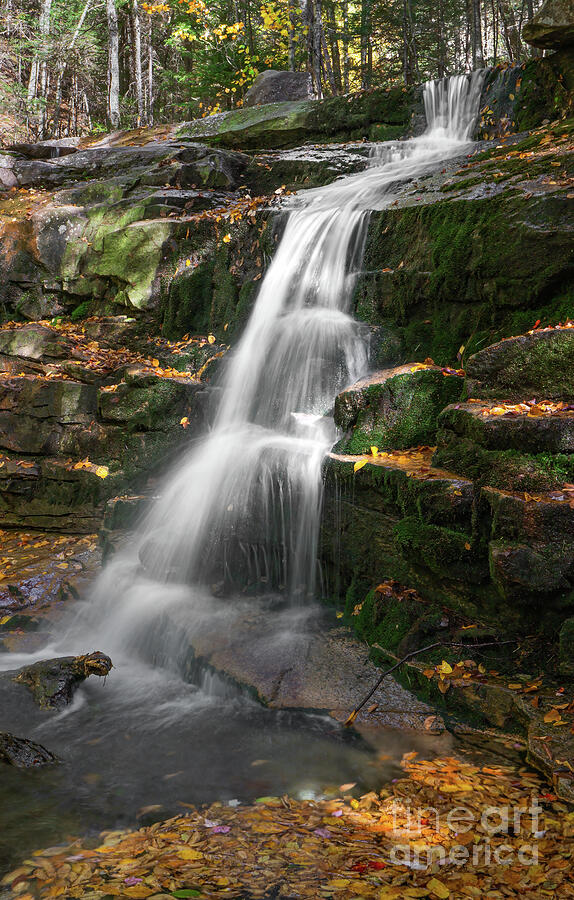 Tranquil Forest Waterfall Photograph - Autumn at Swiftwater Falls by Ron Long Ltd Photography