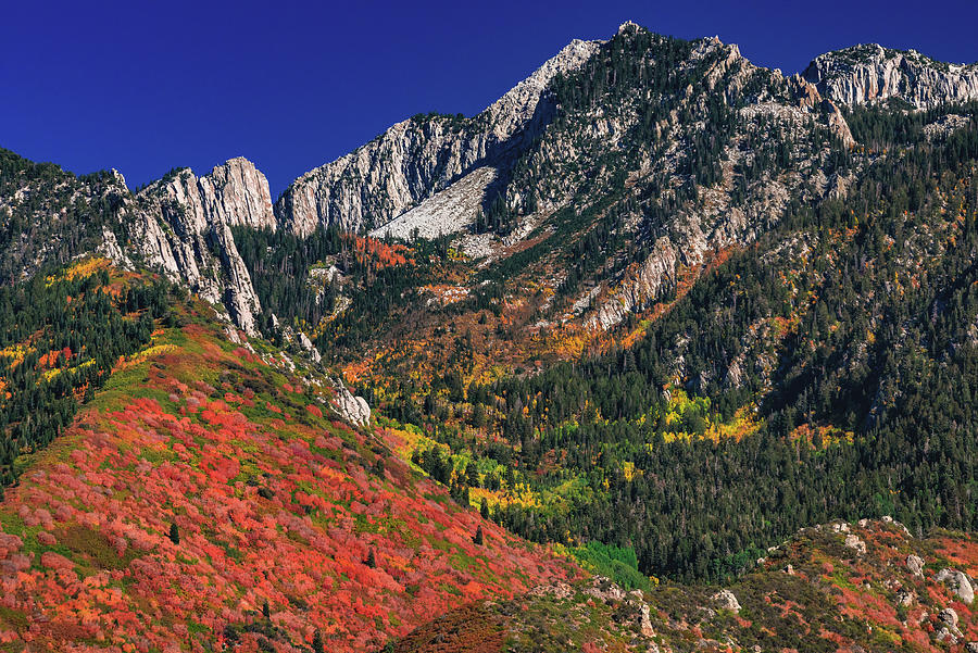 Autumn Colors Below Lone Peak, Utah Photograph by Abbie Warnock