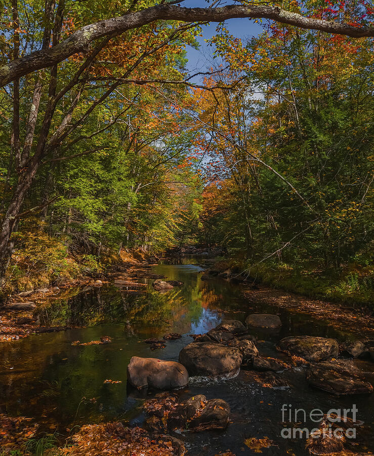 Serene Autumn River Scene Photograph - Autumn Creek in Western Maine by Ron Long Ltd Photography