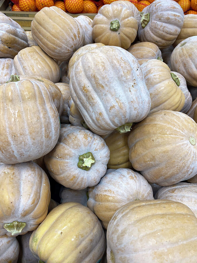 Autumn Harvest of Heirloom Pumpkins by Deborah League