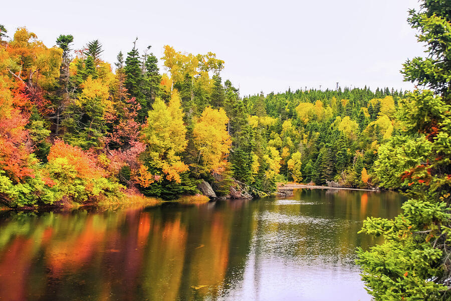 Vibrant Autumn Forest by the Lake Photograph - Autumn has arrived in Newfoundland, Canada by Tatiana Travelways