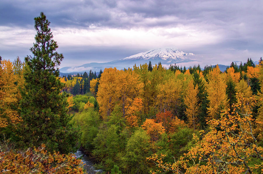 Autumn Forest with Snowy Mountain Photograph - Autumn in Hood River by Russell Wells
