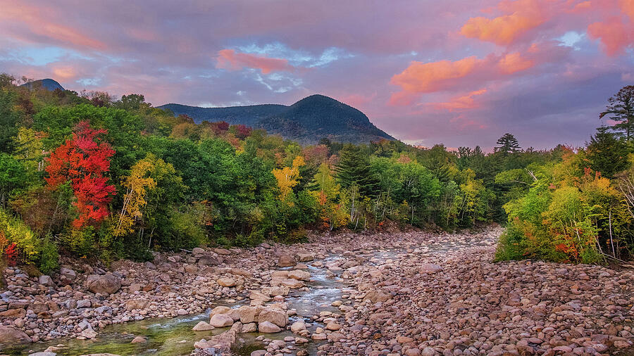 Autumn is Coming Photograph by Maryanne Keeling