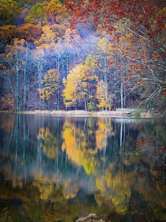 Autumn Mirror at Abbott Lake Photograph by Deb Beausoleil