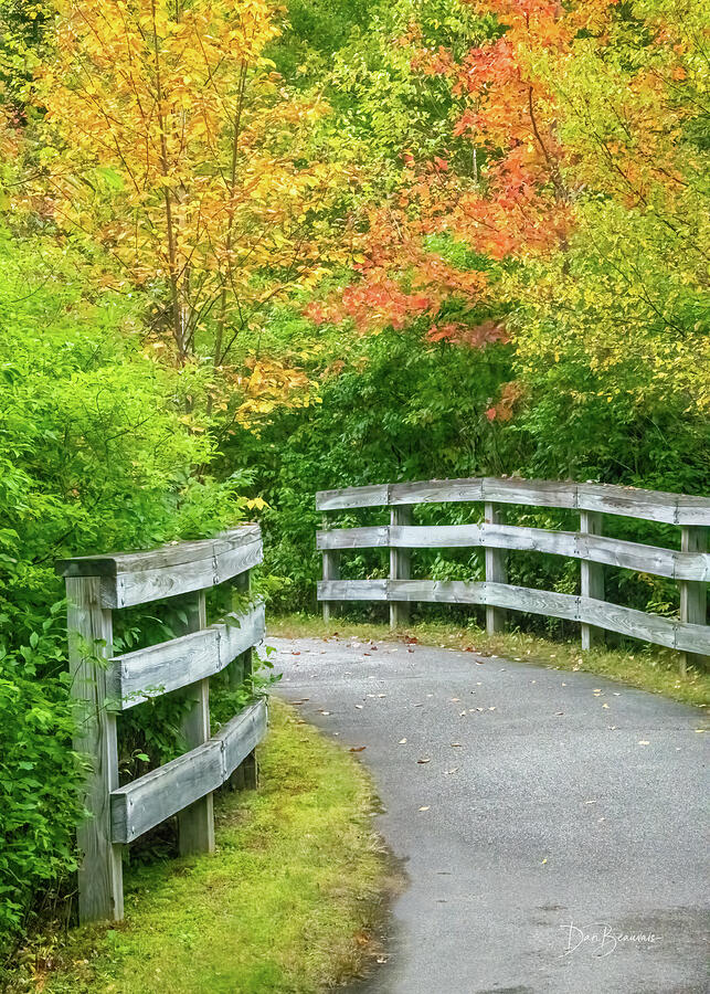 Autumn Pathway Amidst Trees Photograph - Autumn Pathway #1670 by Dan Beauvais