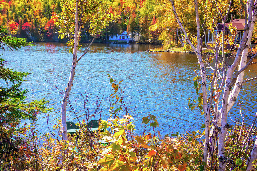 Serene Lake with Autumn Foliage Photograph - Autumn River with White Birch Trees - Quebec, Canada by Tatiana Travelways